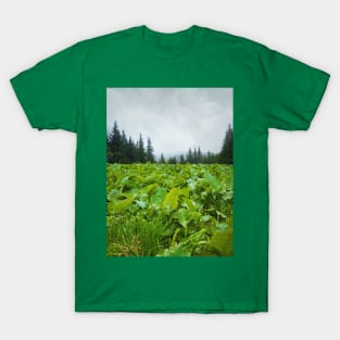 green meadow T-Shirt